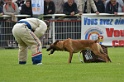 FEDZARRO DU BANC DES HERMELLES-222