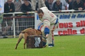 FEDZARRO DU BANC DES HERMELLES-270