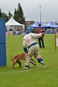 FEDZARRO DU BANC DES HERMELLES-347