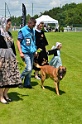 E'RED BULL DU BANC DES HERMELLES-005