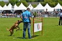 E'RED BULL DU BANC DES HERMELLES-050