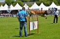 E'RED BULL DU BANC DES HERMELLES-053