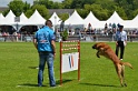 E'RED BULL DU BANC DES HERMELLES-055