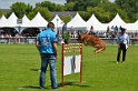 E'RED BULL DU BANC DES HERMELLES-056