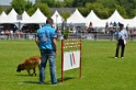 E'RED BULL DU BANC DES HERMELLES-060