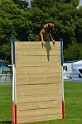 E'RED BULL DU BANC DES HERMELLES-090