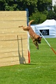 E'RED BULL DU BANC DES HERMELLES-094