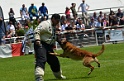 E'RED BULL DU BANC DES HERMELLES-107