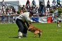 E'RED BULL DU BANC DES HERMELLES-119