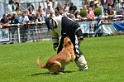 E'RED BULL DU BANC DES HERMELLES-124