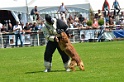 E'RED BULL DU BANC DES HERMELLES-127