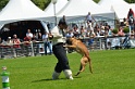 E'RED BULL DU BANC DES HERMELLES-130