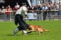 E'RED BULL DU BANC DES HERMELLES-145