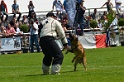 E'RED BULL DU BANC DES HERMELLES-169