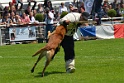 E'RED BULL DU BANC DES HERMELLES-174