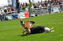 E'RED BULL DU BANC DES HERMELLES-189