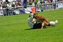 E'RED BULL DU BANC DES HERMELLES-196