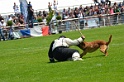 E'RED BULL DU BANC DES HERMELLES-199