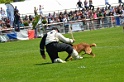 E'RED BULL DU BANC DES HERMELLES-200