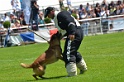 E'RED BULL DU BANC DES HERMELLES-201