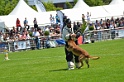 E'RED BULL DU BANC DES HERMELLES-206