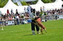 E'RED BULL DU BANC DES HERMELLES-207