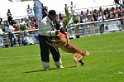 E'RED BULL DU BANC DES HERMELLES-209