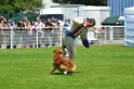 E'RED BULL DU BANC DES HERMELLES-328