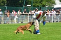 E'RED BULL DU BANC DES HERMELLES-331