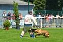 E'RED BULL DU BANC DES HERMELLES-337