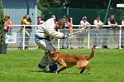 E'RED BULL DU BANC DES HERMELLES-349