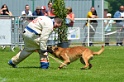 E'RED BULL DU BANC DES HERMELLES-357