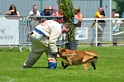 E'RED BULL DU BANC DES HERMELLES-358