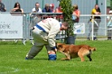 E'RED BULL DU BANC DES HERMELLES-359