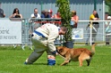 E'RED BULL DU BANC DES HERMELLES-360