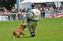 E'RED BULL DU BANC DES HERMELLES-387