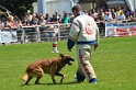 E'RED BULL DU BANC DES HERMELLES-388