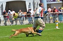 E'RED BULL DU BANC DES HERMELLES-415