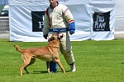 E'RED BULL DU BANC DES HERMELLES-431