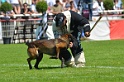 ELOY DIT LOULOU-210